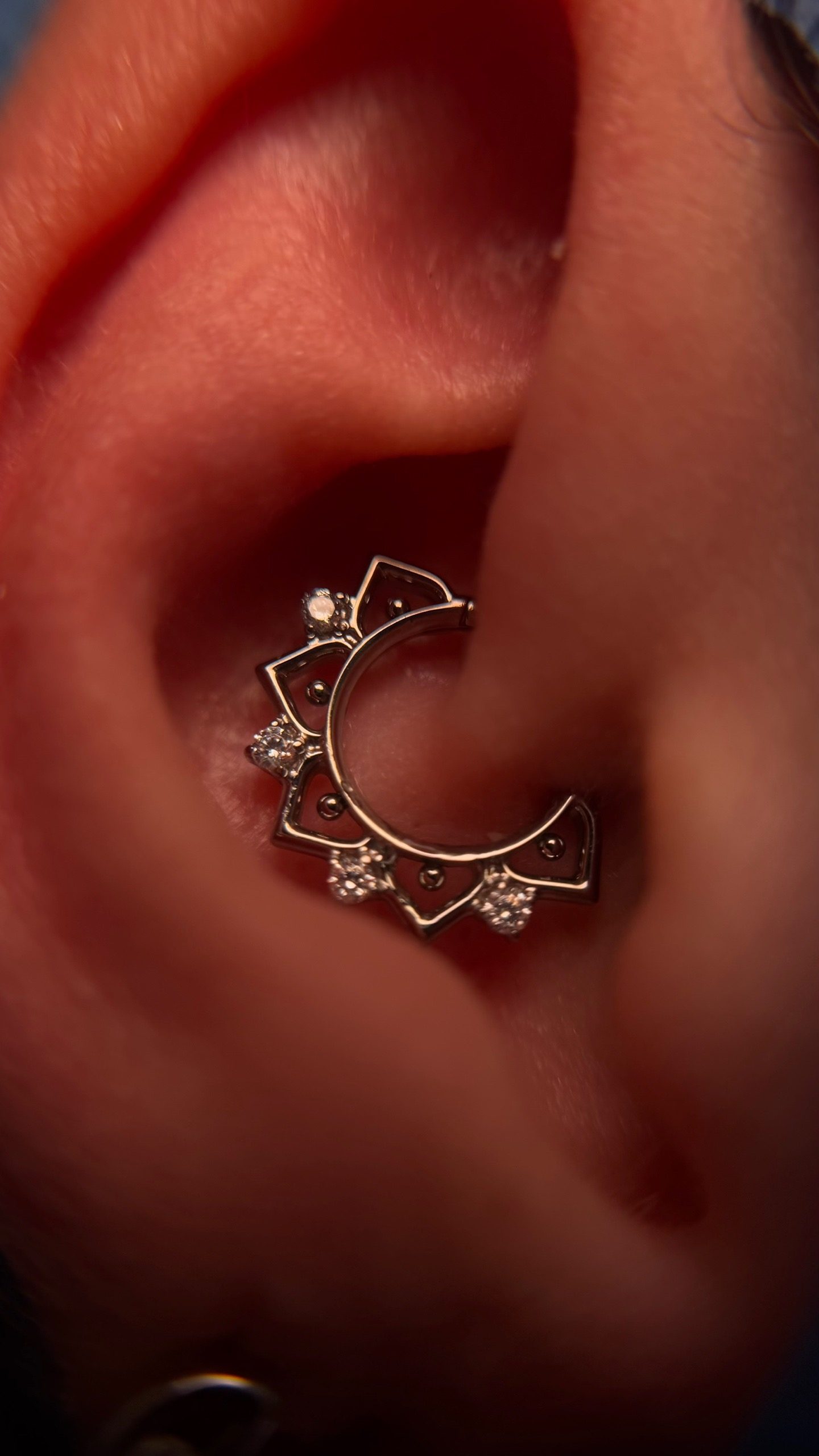 Серёжечная